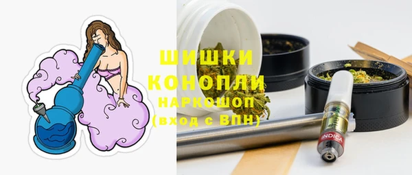 твердый Арсеньев