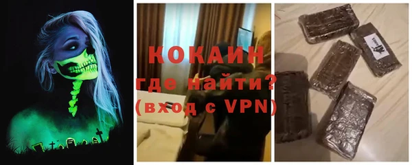 твердый Арсеньев