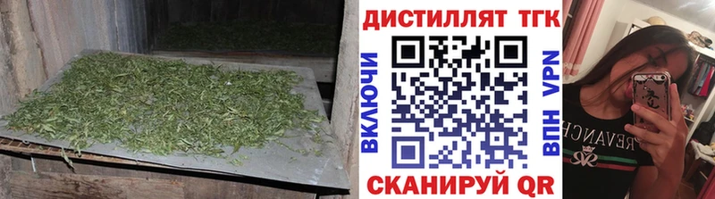 ТГК концентрат Печоры