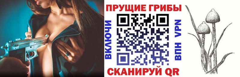Галлюциногенные грибы ЛСД  Печоры 
